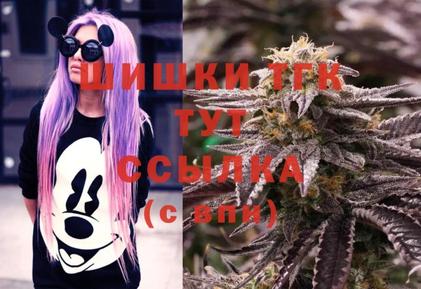apvp Тайга