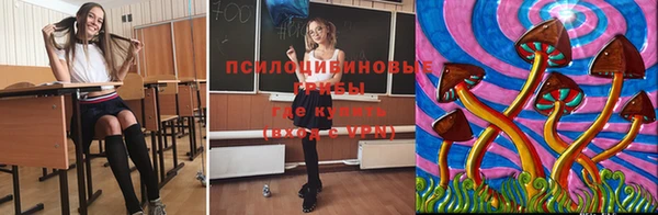 МДПВ Володарск