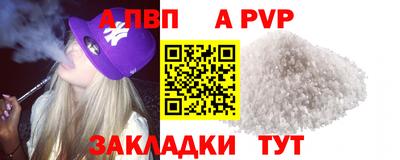 дмт Гай