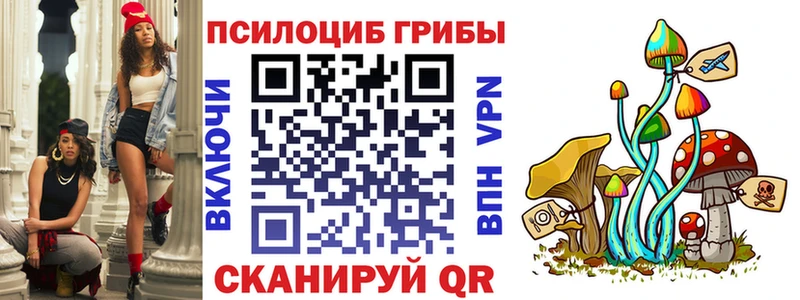 Псилоцибиновые грибы GOLDEN TEACHER  мега ссылки  Гусь-Хрустальный 