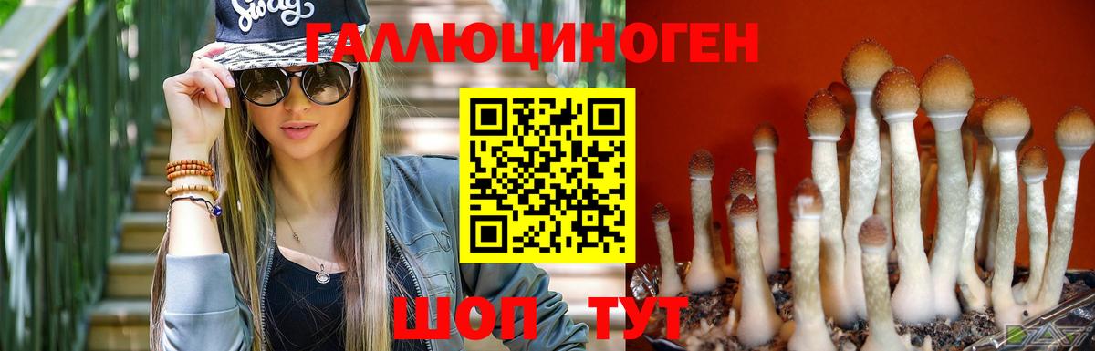 Галлюциногенные грибы MAGIC MUSHROOMS Гусь-Хрустальный